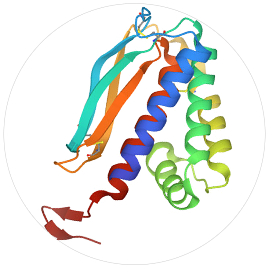 猴痘抗原A29L、A35R、B6R、M1R介紹