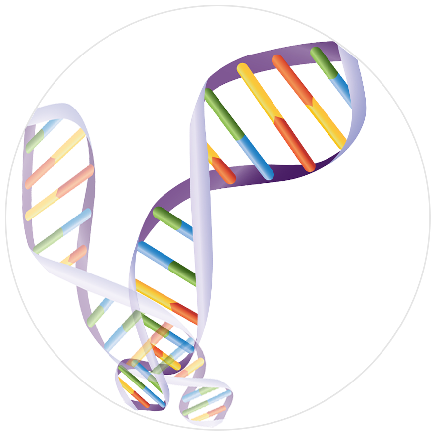 猴痘病毒與天花病毒基因組比對