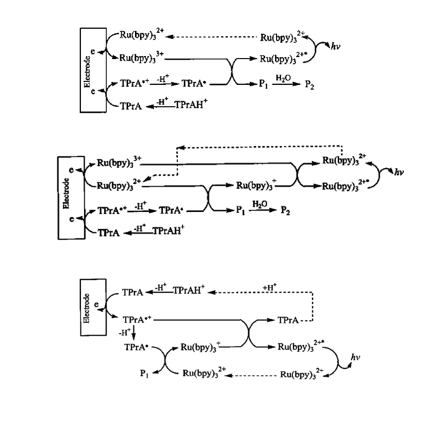 還原氧化型ECL的三種反應過程