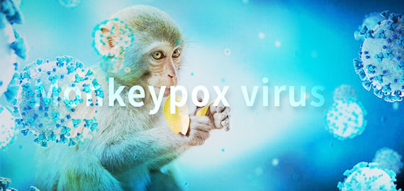 SingleB猴痘項目大顯身手，近100株抗體火速上新！